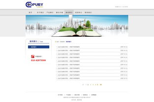 北京網(wǎng)站建設(shè) 原創(chuàng)先鋒，案例引領(lǐng)未來(lái)